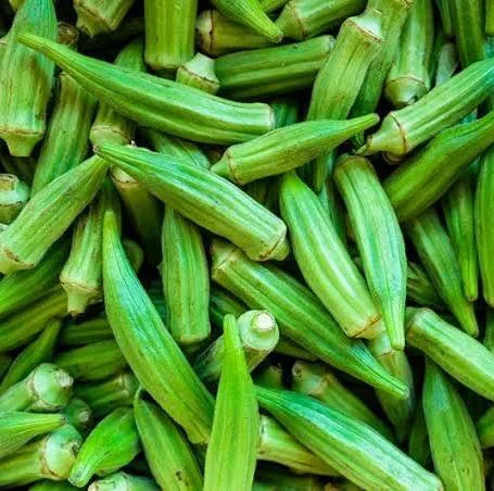 Okra